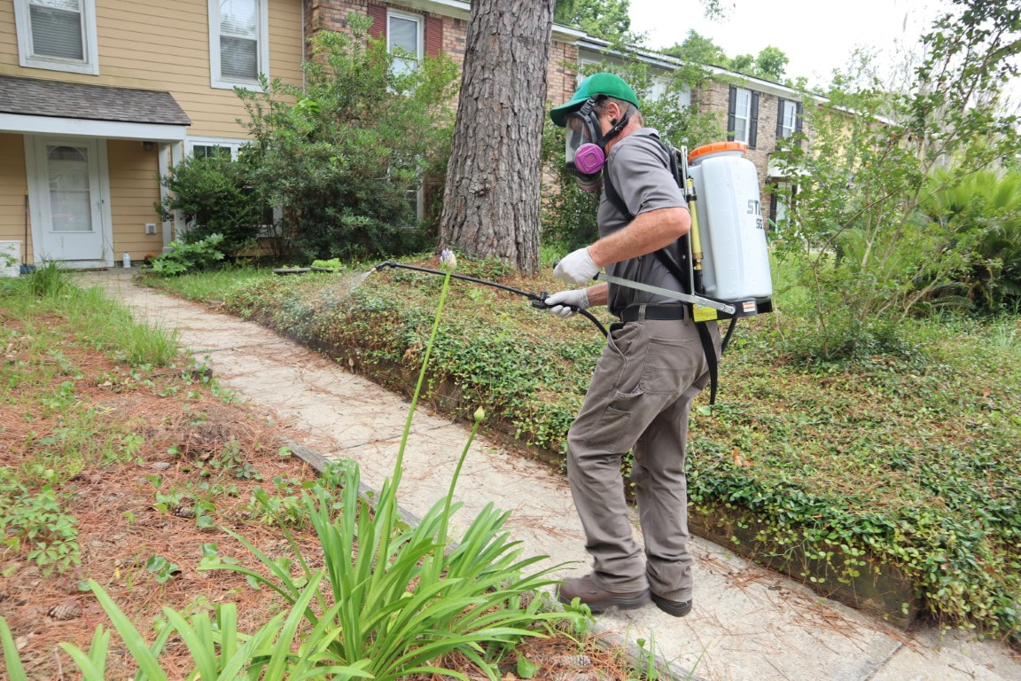 An image of Mosquito Control in Powder Springs, GA