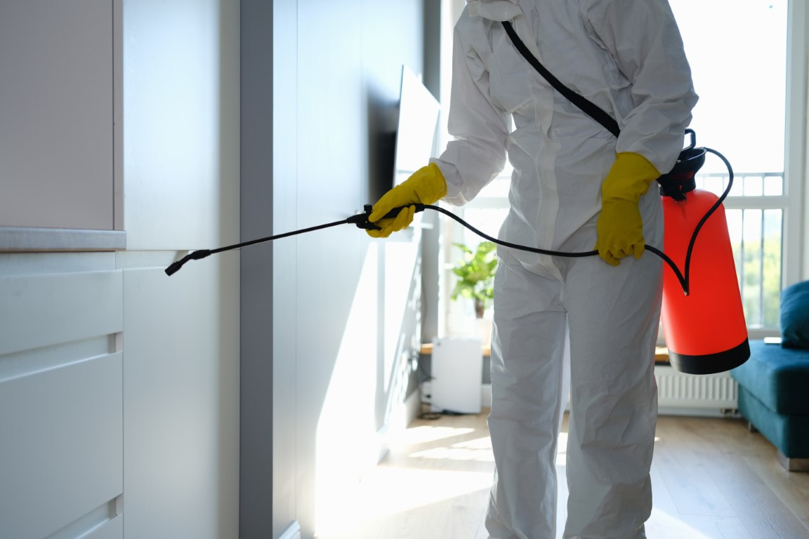 An image of Pest Control Services in Powder Springs, GA